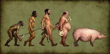 Adam, de Nature � Culture