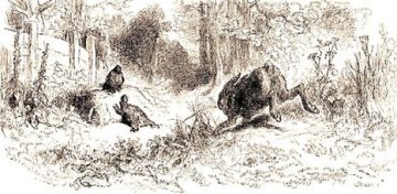 illustration