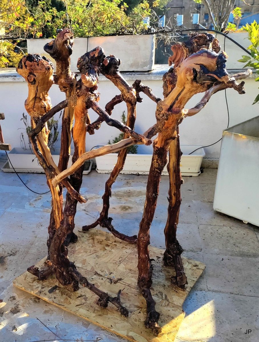 La ronde des vignes brulées