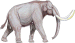 petit-mammouth